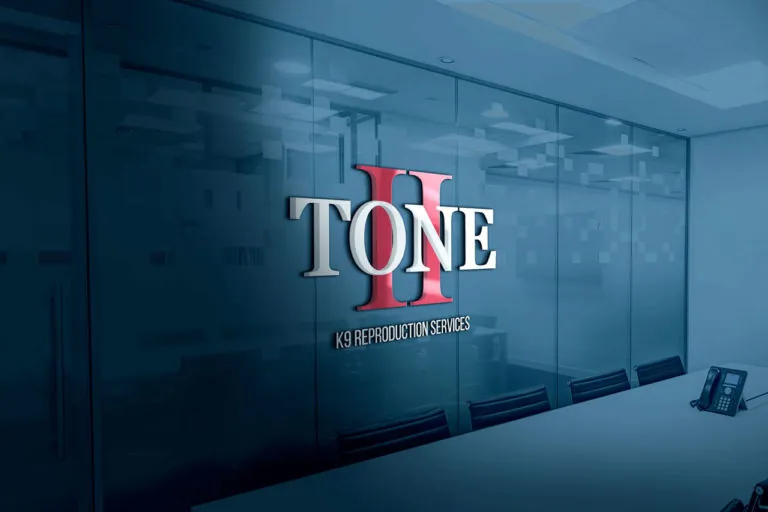 2 Tone logo mockup